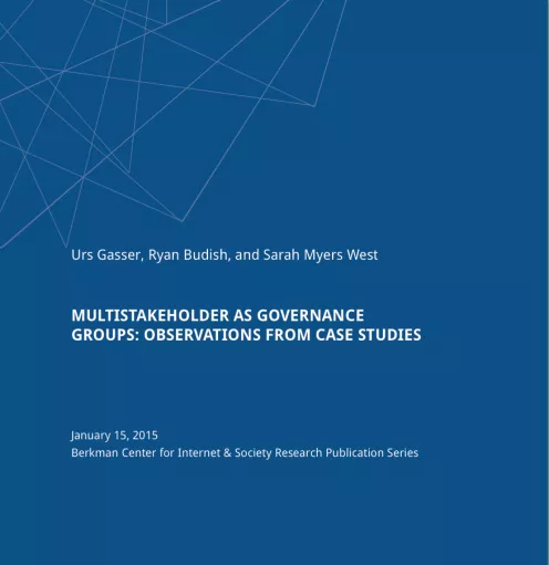 Multistakeholder as Governance Groups: Observations from Case Studies
